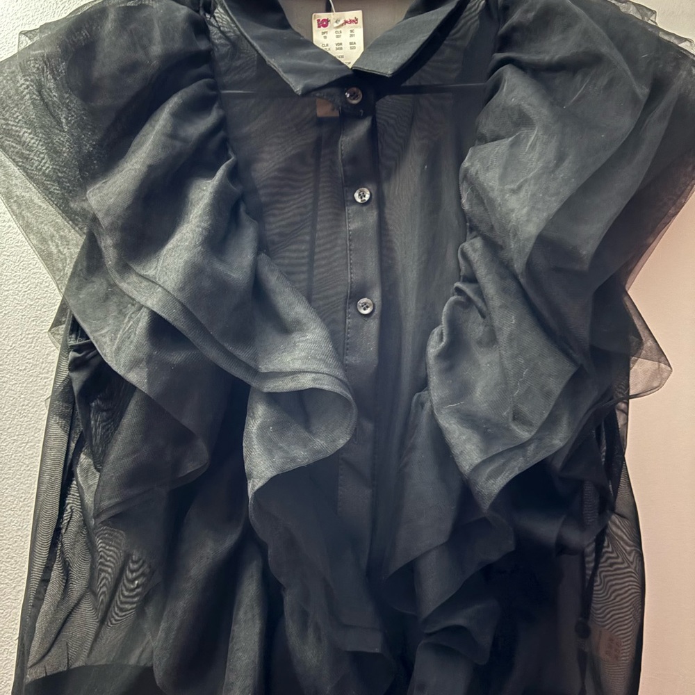 Madrag Sheer Black Ruffled Button-Up Blouse - Picture 1 of 3